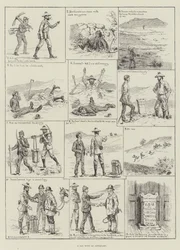 Dzień z antykwariatami